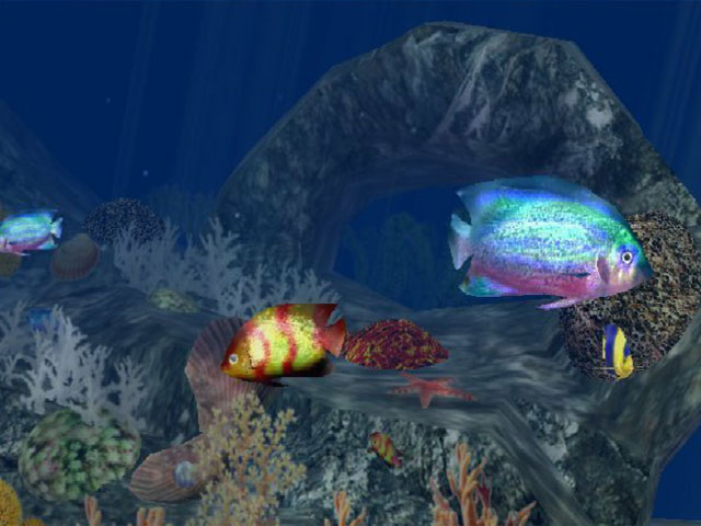 3D Aquatic Life Screensaver: Fish! screenshot