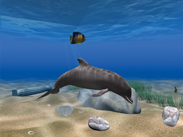 dolphins 3d screensaver